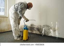 Reliable Silver Hill, MD Mold Removal Solutions